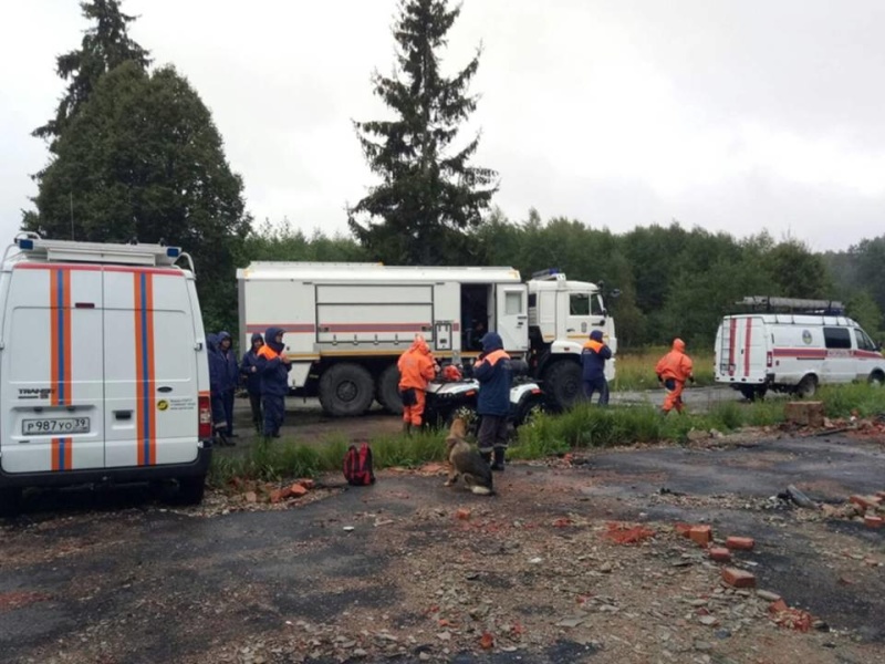 Спасательные подразделения МЧС России принимали участие в поиске грибника в лесном массиве «Фрунзенский лес» на территории Черняховского ГО