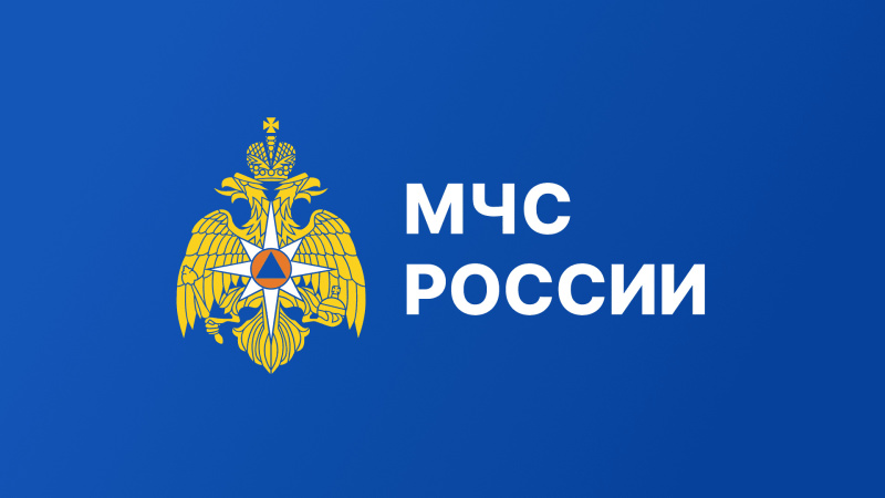 «Спасли пушистую маму»: в Советске сотрудники МЧС сняли с дерева беременную кошку